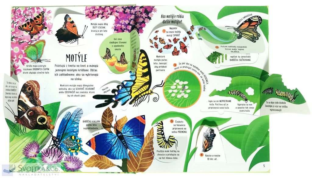 Chrobáky a motýle