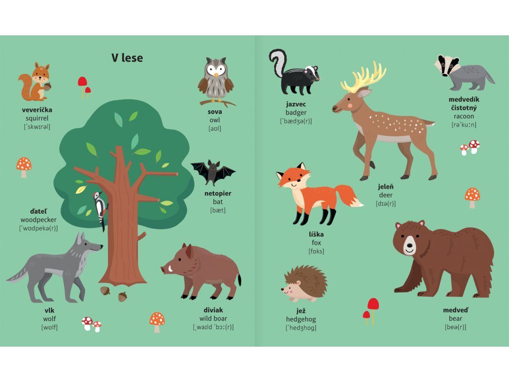 Môj slovníček slovenčina - angličtina Zvieratá