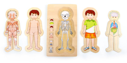 Drevená skladačka anatómia tela chlapec
